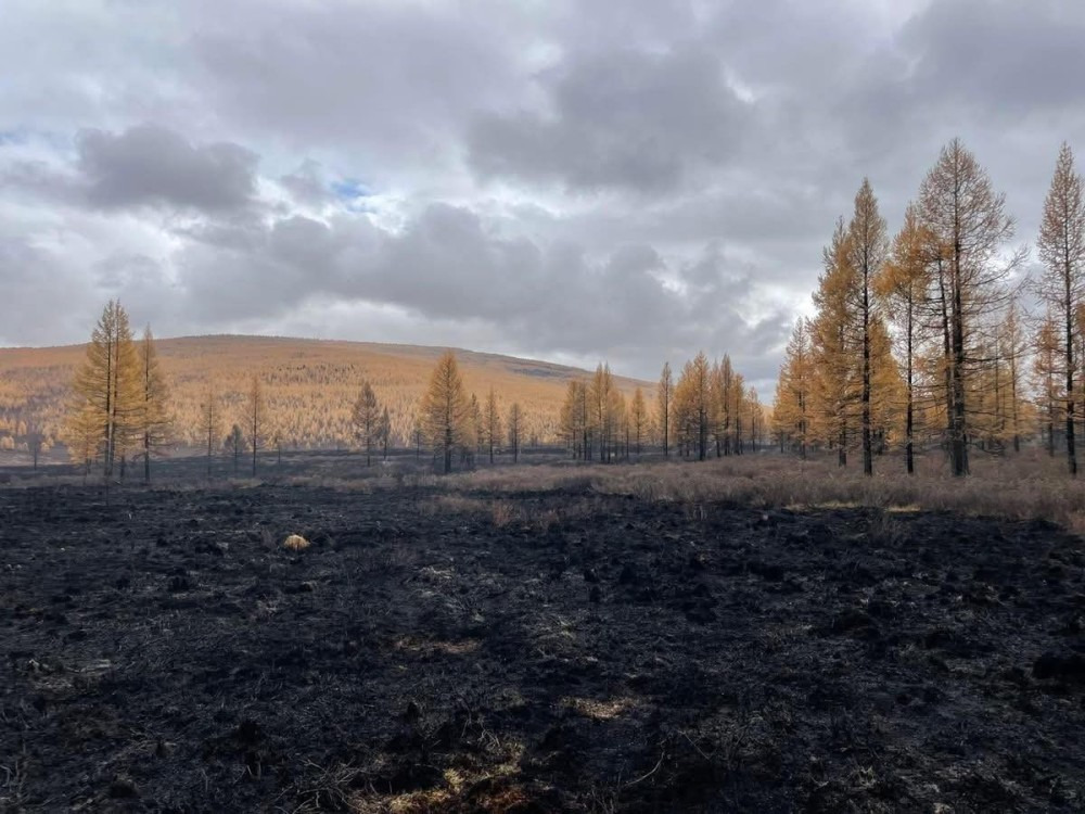 Ой, хээрт ил задгай гал түлэхгүй байхыг анхааруулж байна